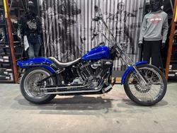 2007 Harley-davidson FXST SOFTAIL STANDARD Blue
