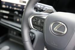 2025 Lexus NX250 NX250 Base 2.5L Petrol Automatic Wagon 2M00110 001