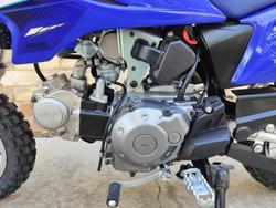 2025 YAMAHA PEEWEE 50 (PW50) MINI BIKE BLUE