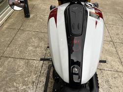 2025 Indian SCOUT 101 WHITE
