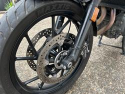 2024 BMW Motorrad F 800 GS WHITE