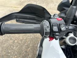 2024 BMW Motorrad F 800 GS WHITE