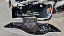 2020 Harley-davidson FLHXSE CVO STREET GLIDE Sand Dune