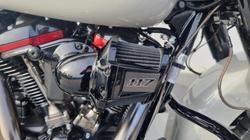 2020 Harley-davidson FLHXSE CVO STREET GLIDE Sand Dune