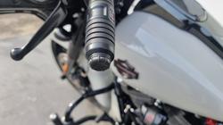 2020 Harley-davidson FLHXSE CVO STREET GLIDE Sand Dune