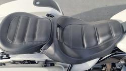 2020 Harley-davidson FLHXSE CVO STREET GLIDE Sand Dune