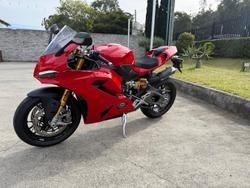 2025 Ducati Panigale V2 S Panigale Red
