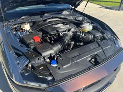 2024 Ford Mustang Dark Horse FO MY24.50 Blue Ember