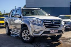 2019 Great Wall
Steed