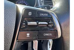 2019 Kia
                Sorento Si