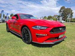 2019 Ford
                Mustang GT