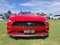 2019 Ford
                Mustang GT
