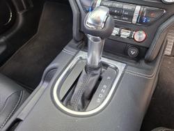 2019 Ford
                Mustang GT