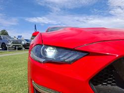 2019 Ford
                Mustang GT