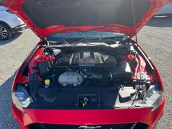 2019 Ford
Mustang GT