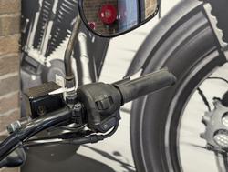 2018 Harley-Davidson Street 500 (XG500) Street Black