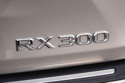 2020 Lexus RX 300 Luxury AGL20R Titanium