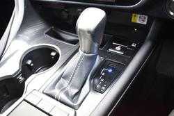 2020 Lexus RX 300 Luxury AGL20R Titanium