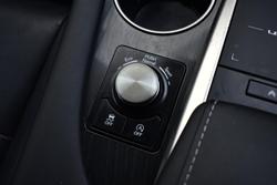 2020 Lexus RX 300 Luxury AGL20R Titanium
