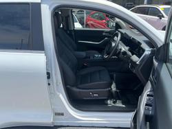 2025 GWM Cannon Ultra