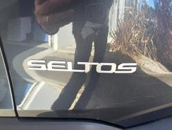 2025 Kia
                Seltos Sport+