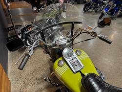 1973 Harley-davidson 1973 Harley-Davidson 1200CC FLH1200 ELECTRA GLIDE Green