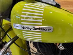 1973 Harley-davidson 1973 Harley-Davidson 1200CC FLH1200 ELECTRA GLIDE Green