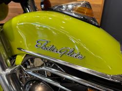 1973 Harley-davidson 1973 Harley-Davidson 1200CC FLH1200 ELECTRA GLIDE Green