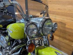 1973 Harley-davidson 1973 Harley-Davidson 1200CC FLH1200 ELECTRA GLIDE Green