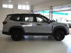 2025 LDV
D90 Mode