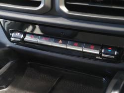 2025 LDV
D90 Mode