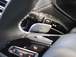 2025 LDV
D90 Mode