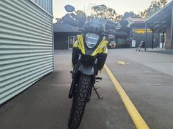 2024 Suzuki V-Strom 250SX V-Strom Yellow