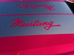 2025 Ford
Mustang GT