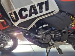 2024 Ducati Desert X Rally Desert X