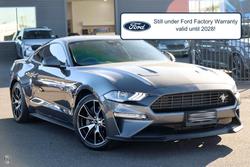 2023 Ford
                Mustang High Performance