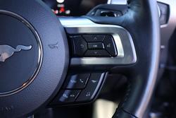 2023 Ford
                Mustang High Performance
