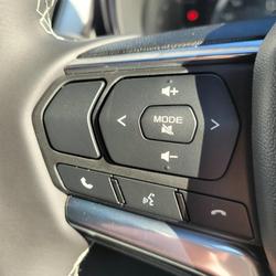 2024 Isuzu
D-MAX LS-U