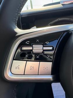 2025 GWM Cannon Alpha Lux PHEV