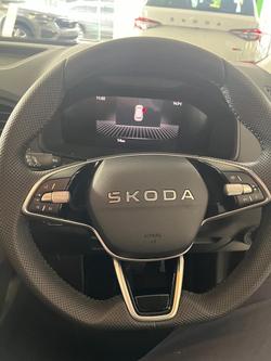 2025 SKODA
                Karoq 110TSI Select