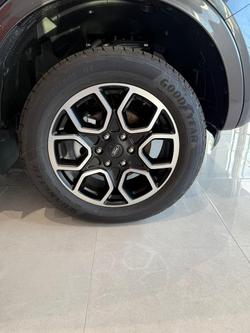 2025 Ford
                Everest Wildtrak