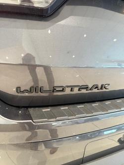 2025 Ford
                Everest Wildtrak