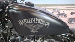 2018 Harley-davidson XL883N IRON 883 Black