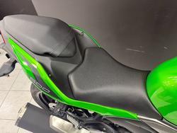2025 Kawasaki Z500 Green