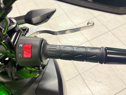 2025 Kawasaki Z500 Green
