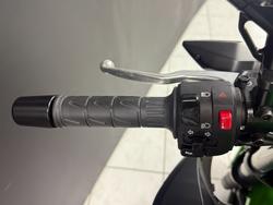 2025 Kawasaki Z500 Green