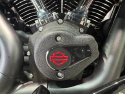2025 Harley-davidson FXLRS LOW RIDER S (117) Vivid Black