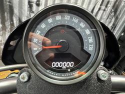 2025 Harley-davidson FXLRS LOW RIDER S (117) Vivid Black