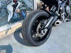 2023 Triumph Tiger Sport 660 Tiger Grey