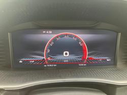 2025 SKODA Fabia 110TSI Monte Carlo